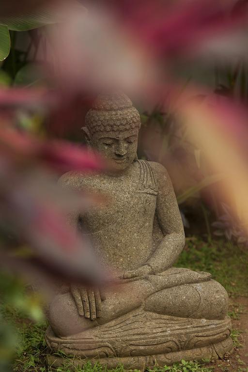 Esterin Villa Ubud  Room photo